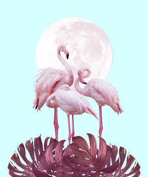 moon and flamingo background design in light pink and turquoise colors, can be used as background, wallpaper © Kanea