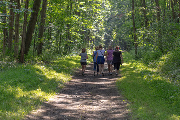 Obraz premium family walking on a trail in the forest