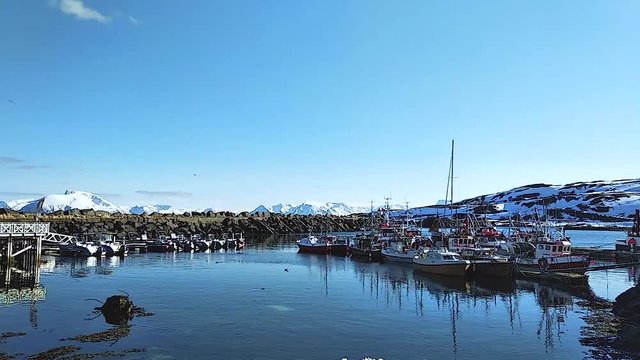 boats and sailboats stand in the winter harbor. snow. zisa. snowy mountains. birds fly