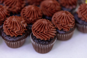 Chocolate Cupcake Desert Frosting