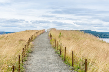 Path at Tacoma Park 4