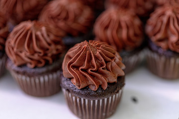 Chocolate Cupcake Desert Frosting
