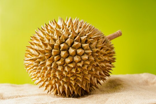 Durian