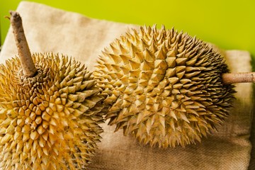 Fototapeta premium Durian