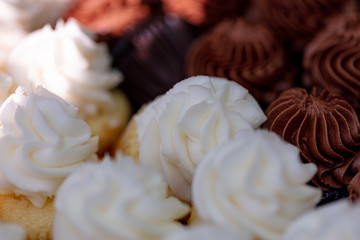 Chocolate Vanilla Cupcake