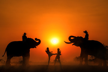 Fototapeta na wymiar Boxing Fighting In the middle between two elephants. Boxing Fighting with sunset light as a backdrop. The activities Krapho, Tha Tum District, Surin, Thailand.