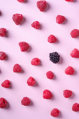 Raspberry sweet organic juicy berries with single blackberry, pattern, texture, on pink paper background, flat lay