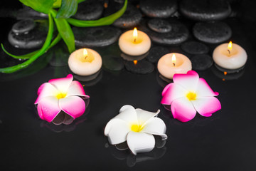 spa concept of plumeria flowers, green leaves and candles on black zen stones in water