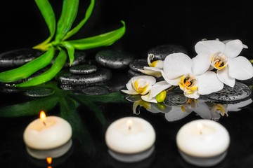 spa still life of white orchid (phalaenopsis), candles, green leaves and black zen stones with drops on water with reflection