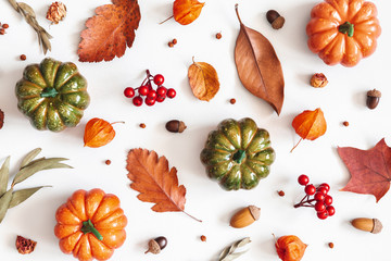 Autumn composition. Dried leaves, pumpkins, flowers, rowan berries on white background. Autumn, fall, halloween, thanksgiving day concept. Flat lay, top view