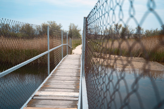 Landscape Bridge That Leads To The Other Side