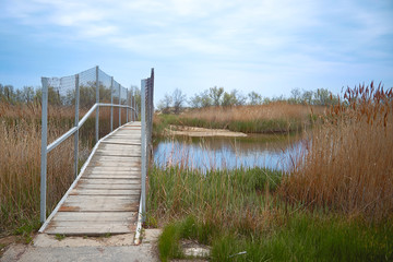 Fototapeta premium Landscape bridge that leads to the other side