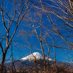 Mt. Fuji at kawaguchiko Fujiyoshida, Japan.