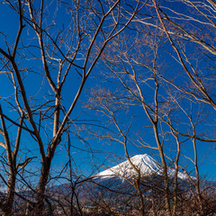Mt. Fuji at kawaguchiko Fujiyoshida, Japan.