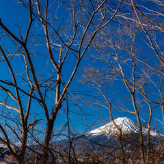 Mt. Fuji at kawaguchiko Fujiyoshida, Japan.