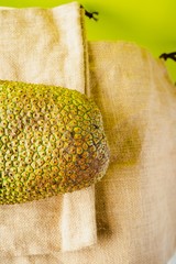 Cempedak