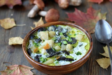 soup from mushrooms aspen  .wild mushroom . 