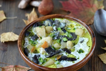 soup from mushrooms aspen  .wild mushroom . 