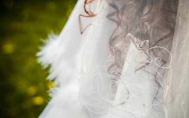 Bride rear view, hair behind a veil, on the background of a lawn with yellow foliage