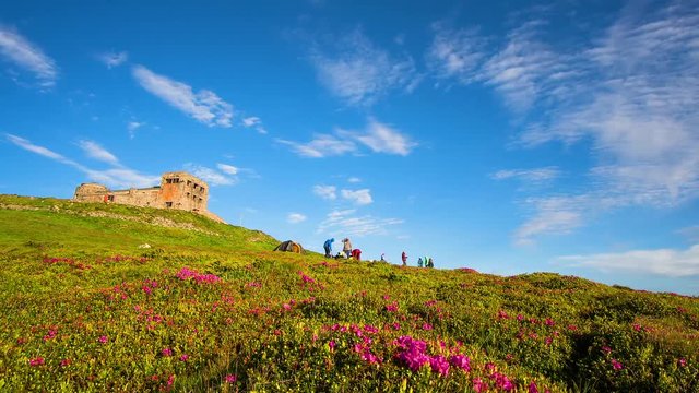 Tent camp on the peak of mountains time lapse, people dismantle a camp, Tent camp on the background of the old observatory and rhododendrons,Tent camp and blooming rhododendrons in the Carpathians tim