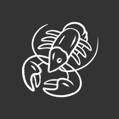 Crayfish chalk icon. Underwater sea animals, lobster. Healthy nutrition. Vitamin and diet. Seafood restaurant cuisine. Nutritious dishes. Food delicacy. Isolated vector chalkboard illustration