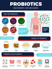 Naklejka premium Probiotics Infographic Set