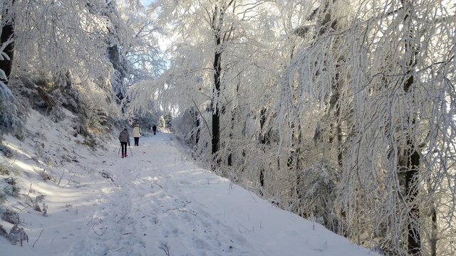 Winterweg