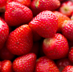  strawberries in a bowl closeup