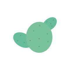 exotic cactu plant nature icon