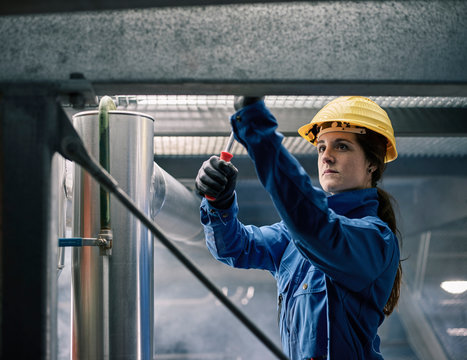 Craftswoman wearing hard hat at work
