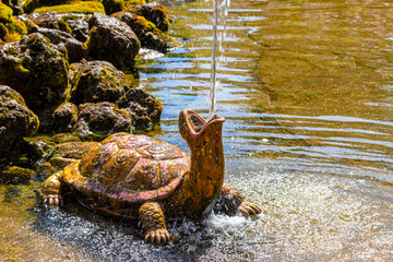 Fountain little turtle. A stream of water