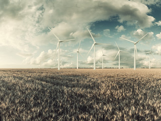 Wind electric turbines in field