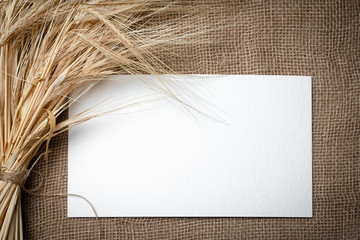 Yellow dry spikelets of wheat on burlap and white space for text. Still life close-up. Top view.