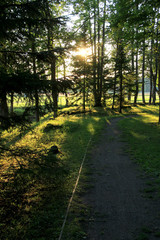 Fototapeta premium Large grass field in countryside and road