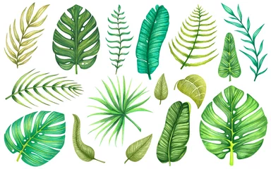 Fototapete Tropische Blätter großes Set mit Aquarell tropischen und exotischen Blättern