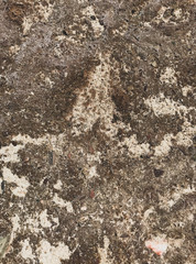Roca con textura de la playa 
