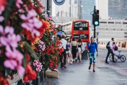 Unidentified People Walking On A Street In London, UK, Blossoming Flowers.