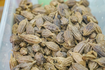 Close up Thai Herb for medicine in Traditioncal Thai Herb shop in Bangkok Thailand.