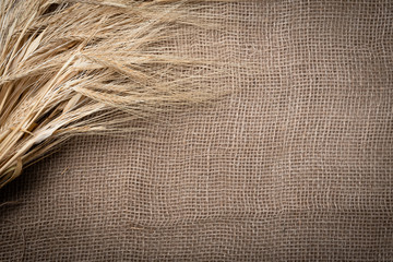 Yellow dry spikelets of wheat on burlap. Place for text. Still life close up. Top view.