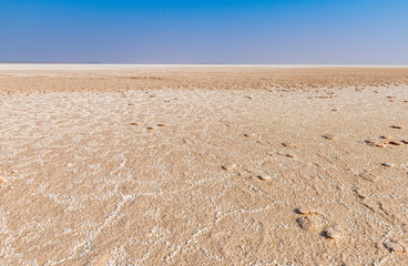 View of salty land at Rann of Kutch, Gujarat, India