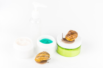 Cosmetics made with snail slime. Very healthy and organic products