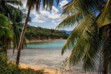 Coconut Beach through jungle with palm trees in Port Barton, Palawan, Philippines