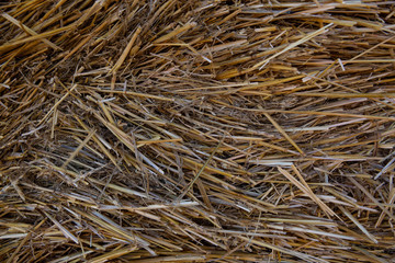 Haystack. Yellow straw. The texture of hay. Background