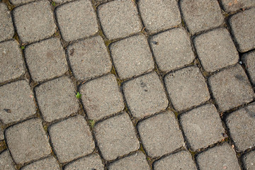 Evenly laid stones paving stones on the sidewalk. Texture