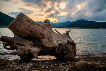 Evening at the Zaovine lake-Mountain Tara