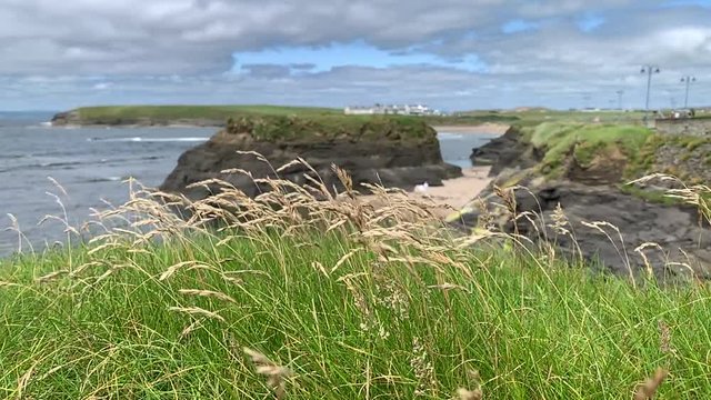 Slow-mo of grass flower overlooking ocean and cliffs. Northern Ireland. 1080p 240fps
