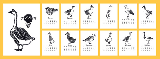 The calendar 2020 Ducks and geese © nenilkime