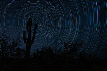 Saguaro Star Trails Circumpolar