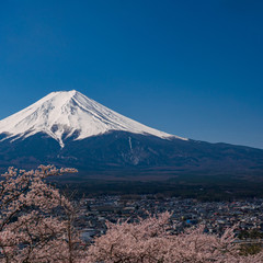 Fototapeta na wymiar Mt. Fuji in the spring time with cherry blossoms at kawaguchiko Fujiyoshida, Japan.