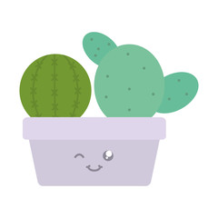 exotic cactus plants in square ceramic pot kawaii characters